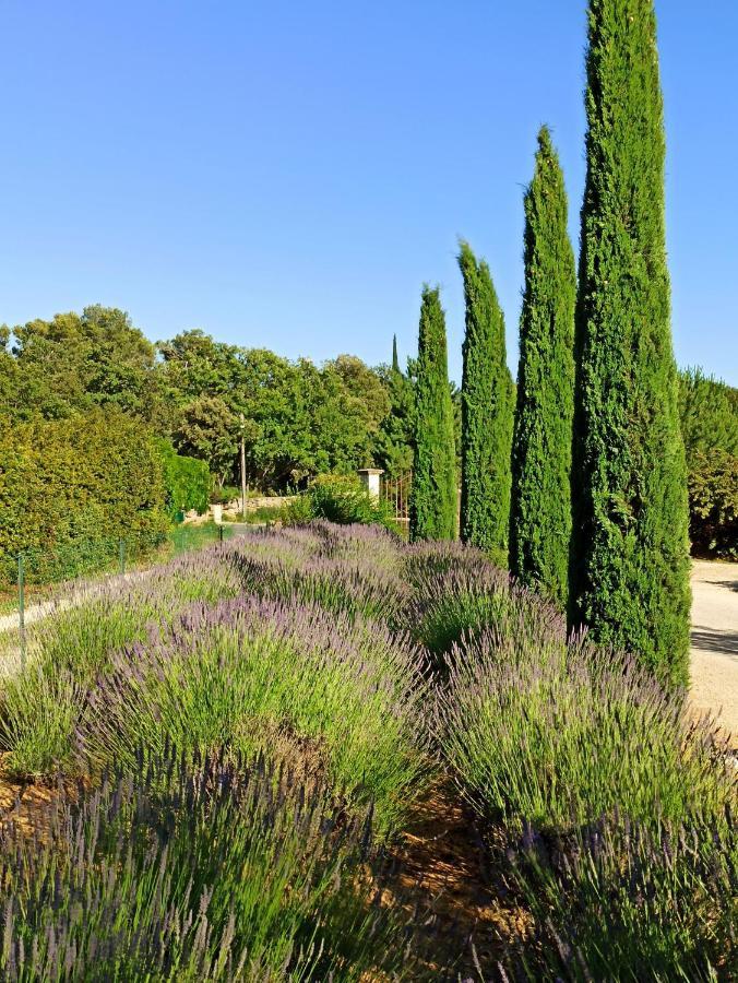 La Bastide De Cocagne Bed & Breakfast Rognes Екстериор снимка